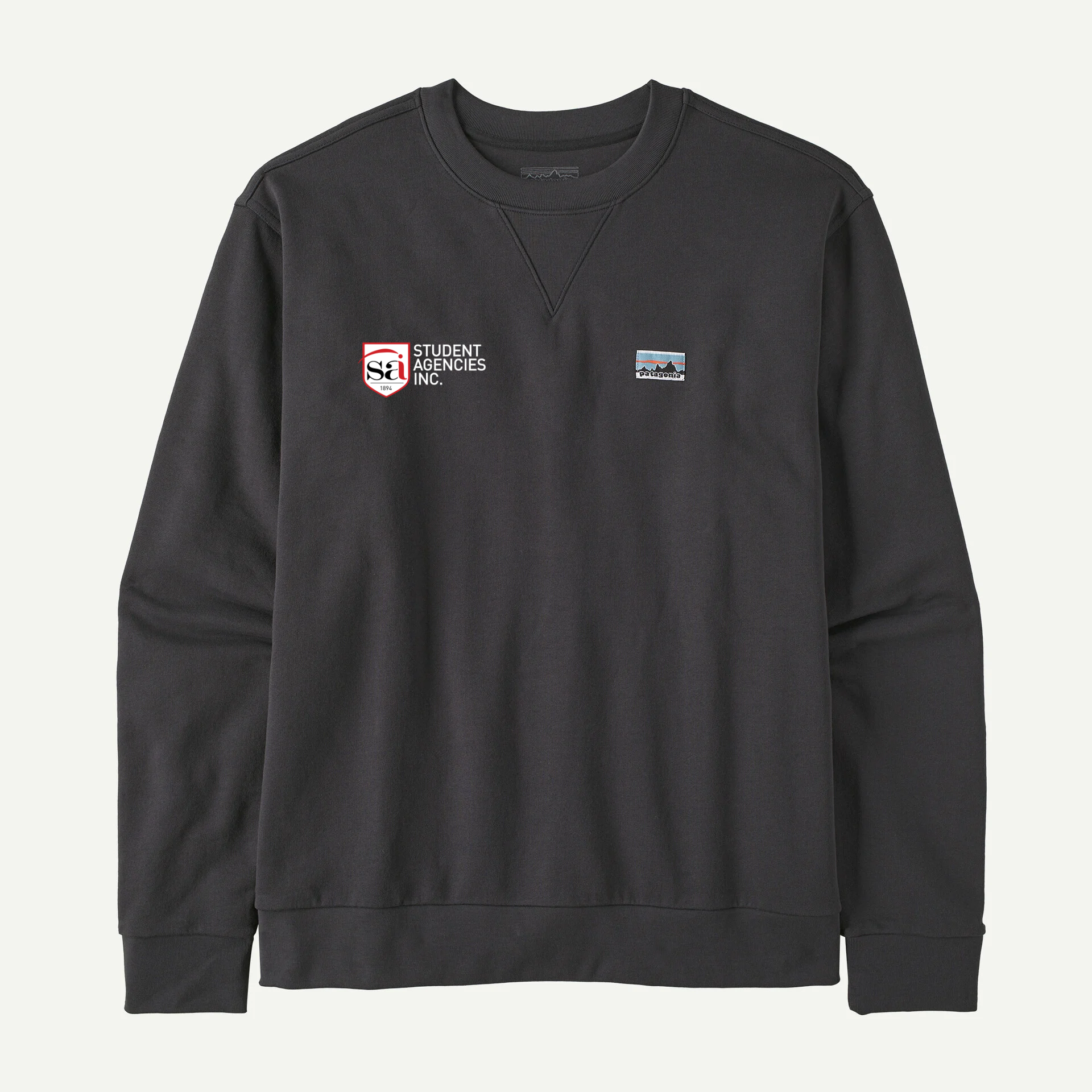 SAI Patagonia Daily Crewneck Sweatshirt