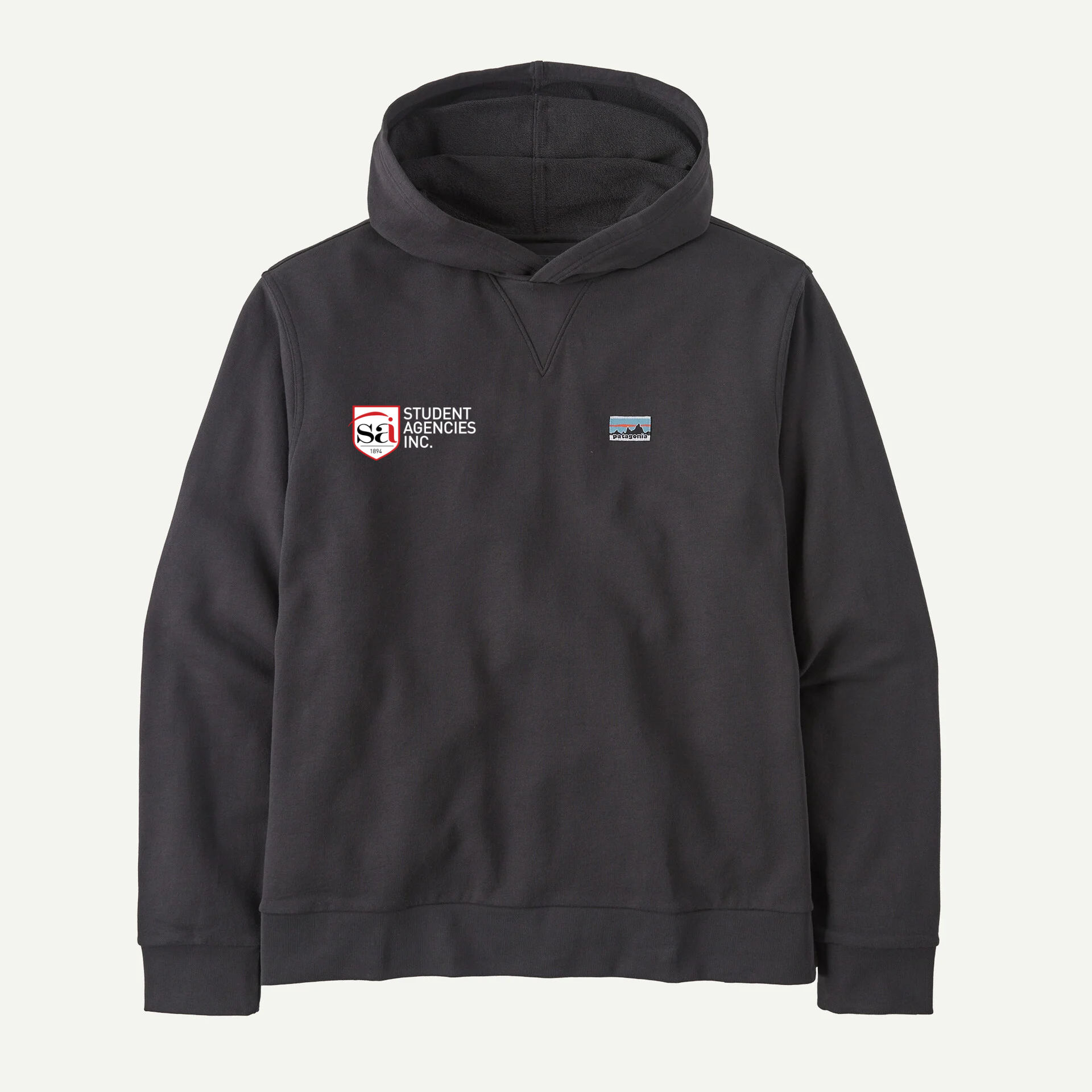SAI Patagonia Daily Hoodie Sweatshirt